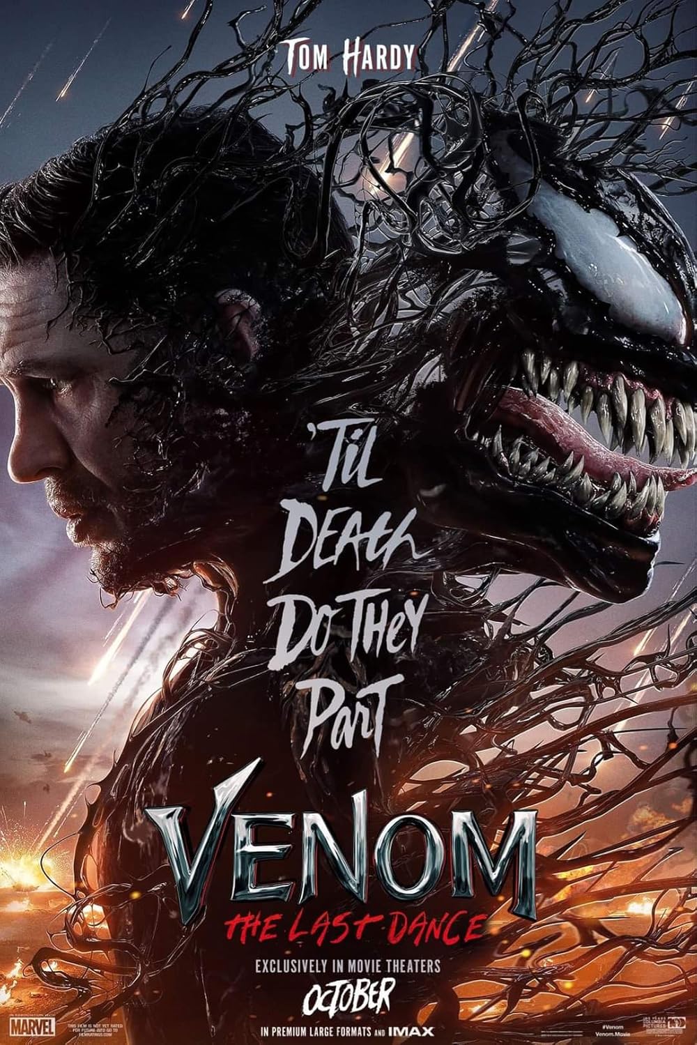 Venom The Last Dance Hollywood Movies